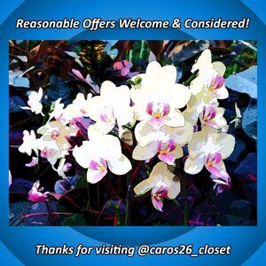 💕 Reasonable Offers Welcome & Considered!
